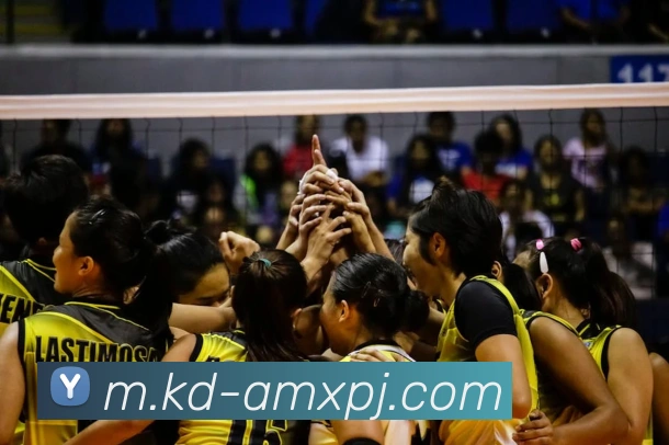 新葡京娱乐APP 封面图